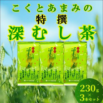 ふるさと納税 南九州市 知覧茶園の特撰深むし茶 3本セット