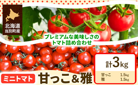 [2-269]　北海道当別町産化学農薬不使用ミニトマト：甘っ子 雅 3kg