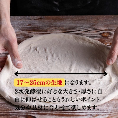 【ナポリのピザ生地 170g 10個】17-25cm分 ★本格ピザを自宅で★失敗しないマニュアル付【配送不可地域：離島】【1565957】