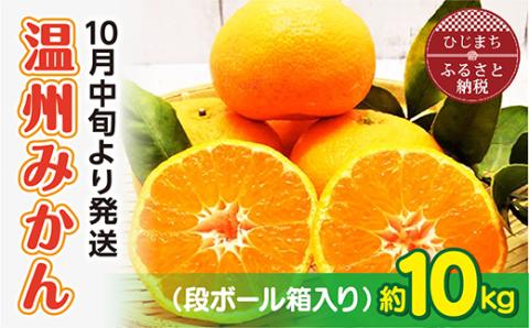 【10月中旬より発送】温州みかん 約10kg(ダンボール箱入り)