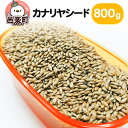 【ふるさと納税】カナリヤシード 800g×1袋 サイトウ・コーポレーション 飼料