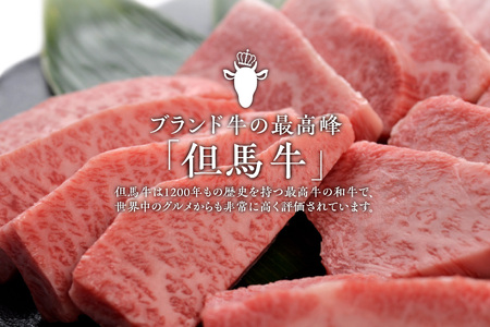 【但馬牛厚切りサーロインステーキ5枚（300g×5枚）合計1.5kg】発送目安：入金確認後1ヶ月程度 配送日の指定はできません。 大人気 人気ふるさと納税 返礼品 おすすめ ランキング しゃぶ 牛肉 