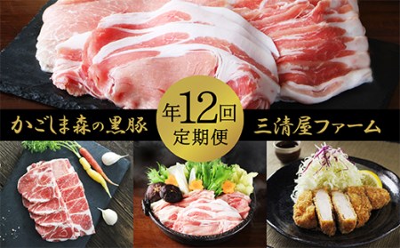 1813 「かごしま森の黒豚」定期（年12回お届け） KN004-T02 黒豚 豚 定期便 国産 ステーキ 三清屋 ふるさと納税 鹿児島 鹿屋市 おすすめ ランキング プレゼント ギフト