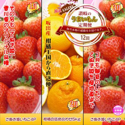 ふるさと納税 坂出市 【発送月固定定期便】創業100年坂出産のフルーツとさぬきの特産品の定期便【Bコース12回】全12回