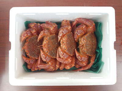 ＜濃厚＞三陸産活毛ガニ約250g×4匹 かに 蟹 毛ガニ 新鮮