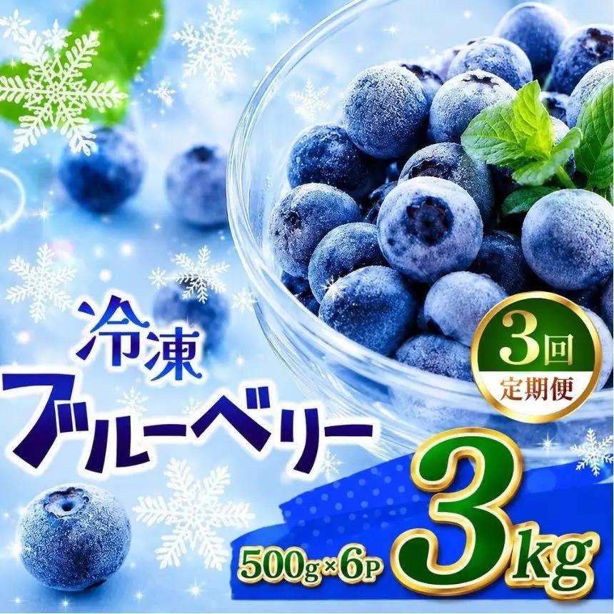 【定期3回】完熟冷凍ブルーベリー 約 3kg
