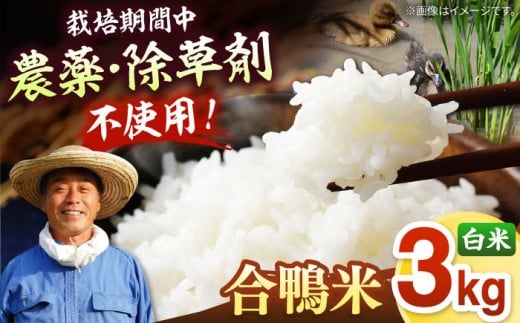[栽培期間中 農薬不使用 ]古野農場の 合鴨農法 で作った「 合鴨米 （ 白米 ）3kg」  ▼ 福岡 おすすめ 美味しい 名産品 精米 桂川町/合鴨家族 古野農場 [ADAL006]