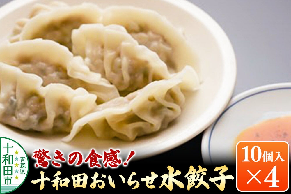 
                  驚きの食感！十和田おいらせ水餃子 10個入り×4パック モッチモチ、ツルッツルの食感 [プレミアムにんにく 奥入瀬ガーリックポーク 青森県産 ぎょうざ 惣菜 レトルト]
                