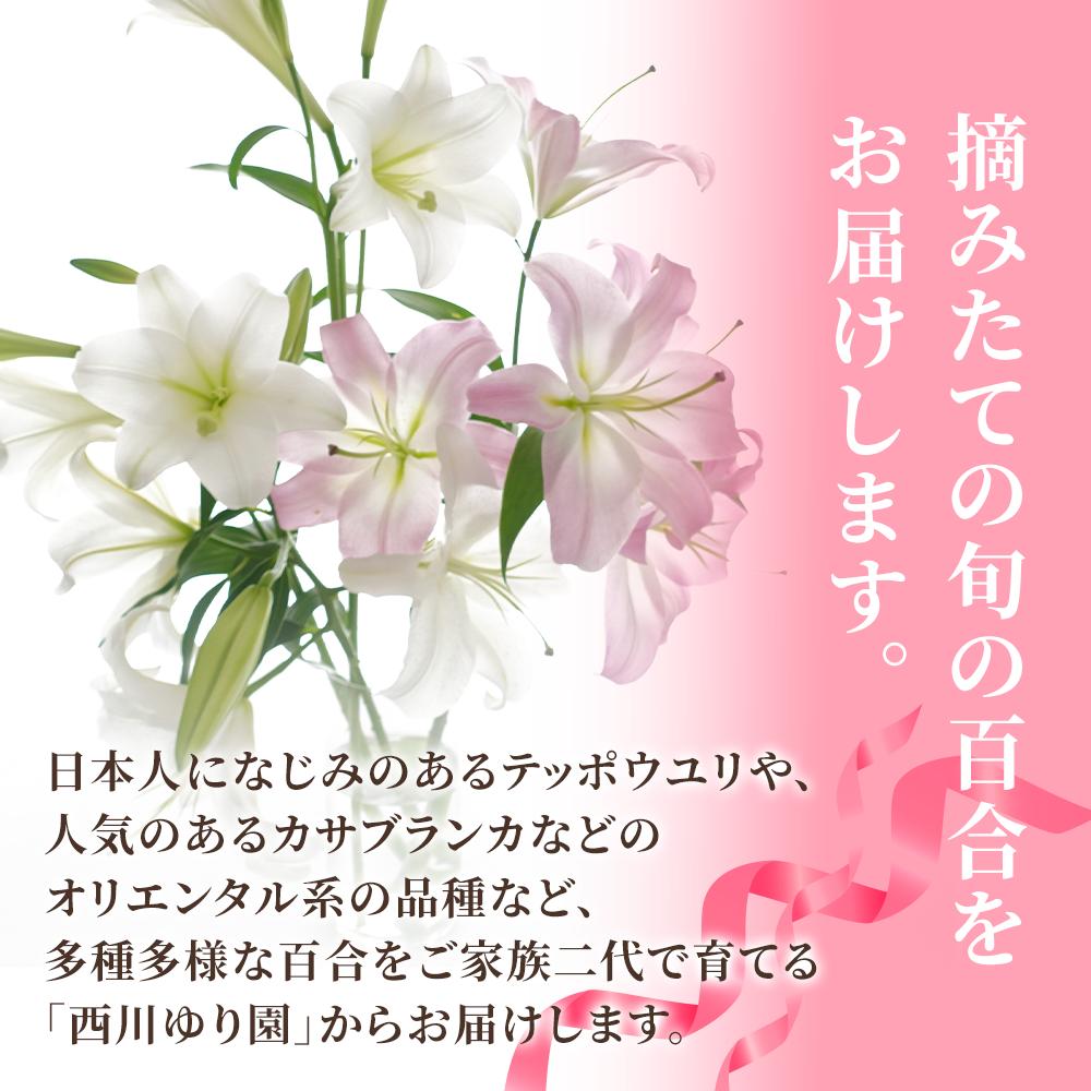 花がだめにならないよう、このようなつぼみの状態のものを中心にお送りします。