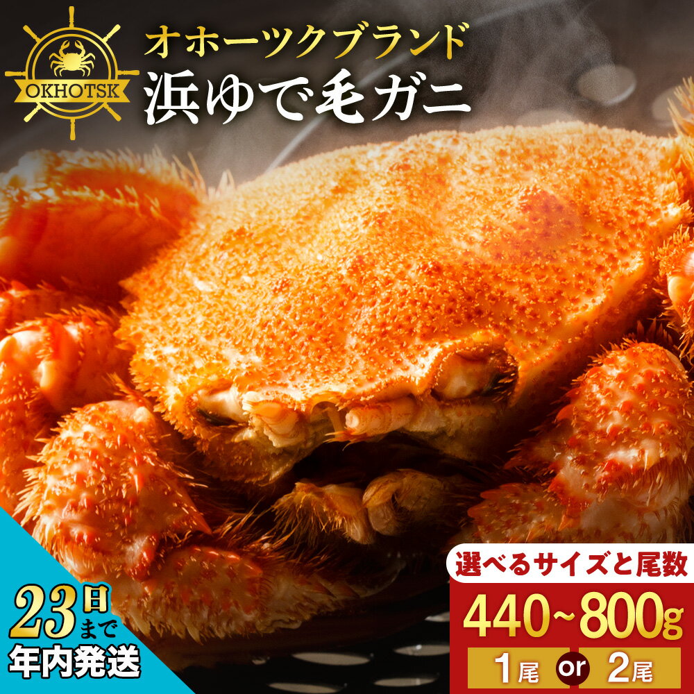 【ふるさと納税】【12月23日決済確定分まで年内発送】☆12月～3月発送☆選べる発送時期【楽天限定】 ☆北海道産 毛ガニ 選べる約440g～800g 1尾・2尾セット 計440g～1.6kg かに カニ 蟹 毛蟹 冷凍 北海道産 浜頓別町北海道ふるさと納税 ふるさと納税 北海道 浜頓別