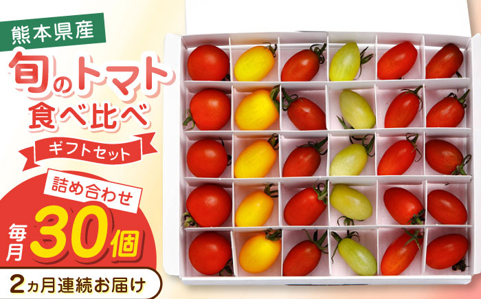 
            【全2回定期便】【期間限定】熊本県産 減農薬栽培 トマト ミディトマト 詰め合わせ 30個セット 食べ比べ ギフトセット 産地直送【矢仁田農園】 [YDE006]
          