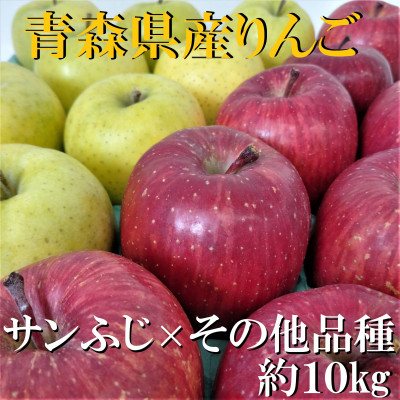 
サンふじ×その他品種　約10kg＜津軽みらい農業協同組合の青森県産りんご＞【1063273】
