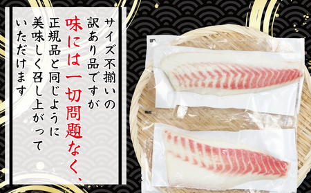 真鯛 訳あり 皮なしロイン 1kg オンスイ  真鯛真鯛真鯛真鯛真鯛真鯛真鯛 D015-159018