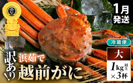 【先行予約】【冷蔵】越前がに 訳あり 足折れ 大 1.0kg以上（茹で前）×3杯【2025年1月上旬以降順次発送予定】[m21-x008_01]