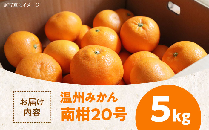 【先行予約】【12月上旬より順次発送】【まごころ手選り手詰め】温州みかん 南柑20号 5kg 愛媛県大洲市/カームシトラス みかん ミカン 蜜柑 果物 くだもの フルーツ