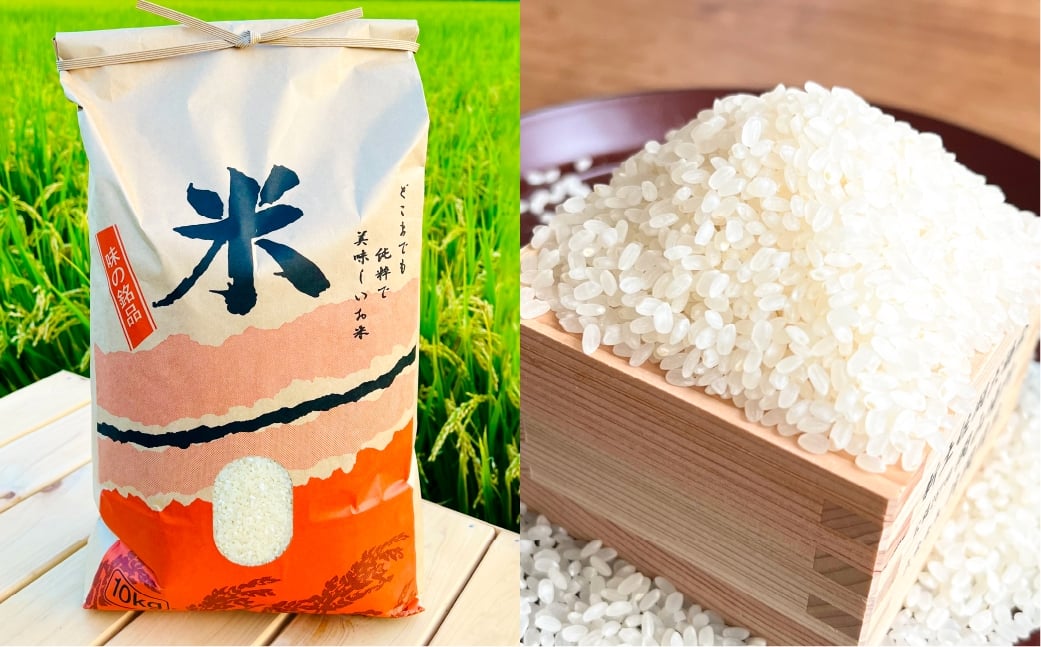 白米 倉敷市産 ヒノヒカリ10kg