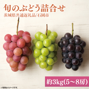 【2025年9月初旬より順次発送】【数量限定】旬のぶどう詰合せ 色とりどり 約3kg(5～8房) 【茨城県共通返礼品/石岡市】【茨城県 巨峰 シャインマスカット ブドウ ぶどう フルーツ 果物 くだもの 濃厚 種あり】（MH-3）