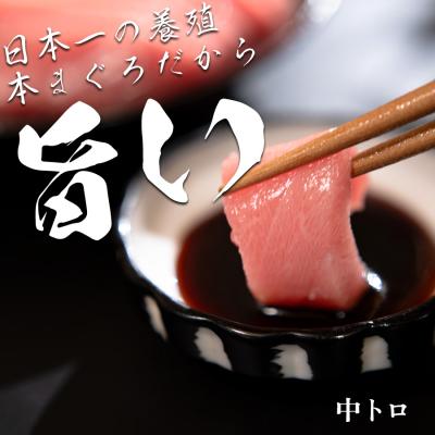 ふるさと納税 大月町 【高知県産 養殖本マグロ】 中トロ 150g 黒潮本まぐろ 刺身用 小分け柵 急速冷凍 最優秀賞受賞 |  | 01