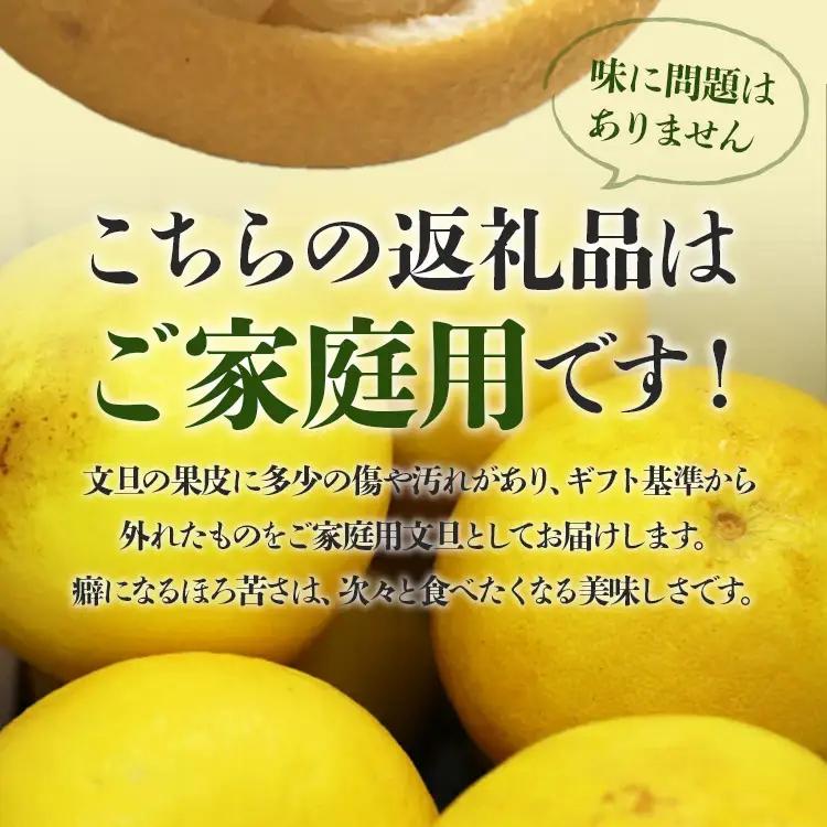 土佐文旦 5kg 家庭用 (2L～4Lサイズ) 先行予約 文旦 果物 フルーツ ms-0094