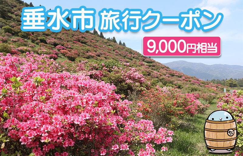 【JALふるさと納税限定】C3-4102／垂水市旅行クーポン　9,000円分相当：JAL航空券限定