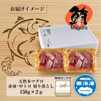 ふるさと納税 十日町市 【熨斗付き】天然本マグロ 切り落とし 赤身 中トロ 150g×2パック 計300g 新潟県十日町市 |  | 03