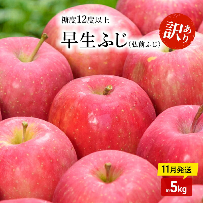 【ふるさと納税】りんご 【 11月発送 】( 糖度12度以上 ) 訳あり品 家庭用 早生ふじ ( 弘前ふじ ) 約 5kg 【 青森りんご 】　お届け：2025年11月20日頃～2025年11月30日