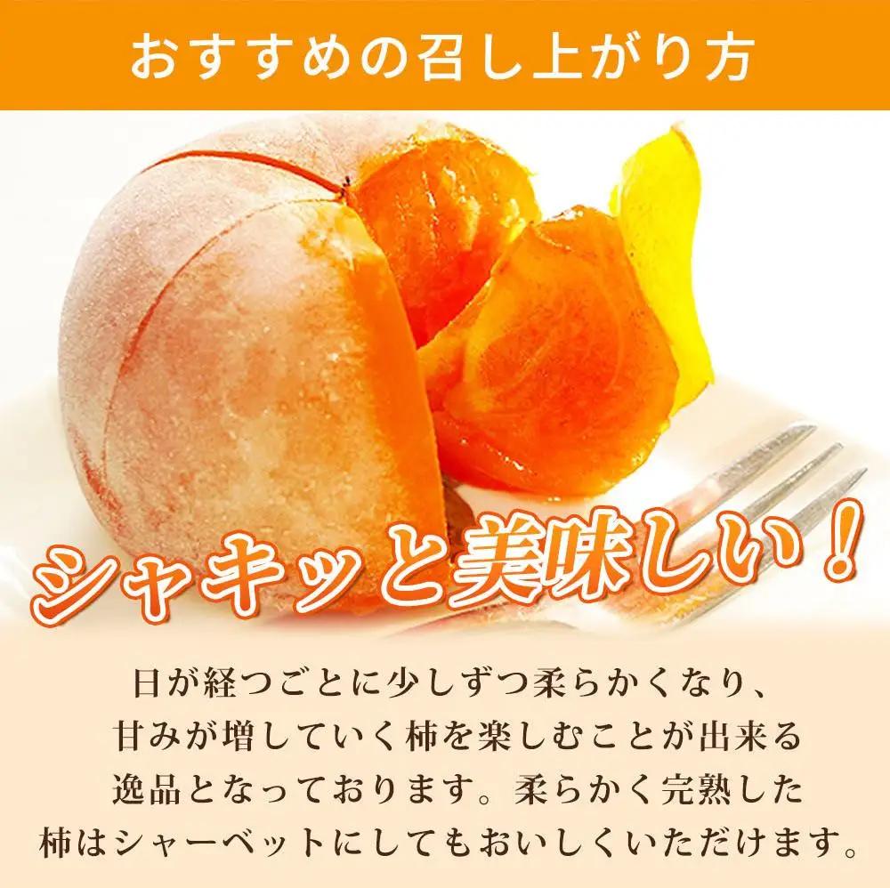 平核無柿（ひらたねなしがき）約２kg　化粧箱入　和歌山秋の味覚［2026年発送］［UT35］