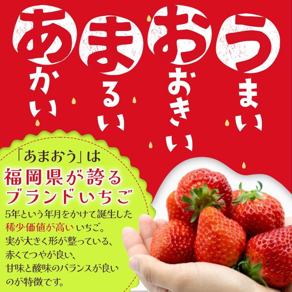 ※受付停止※あかい・まるい・おおきい・うまい「博多あまおう」の冷凍あまおう　500g