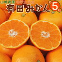 【ふるさと納税】山城農園 和歌山県産 有田みかん 5kg 混サイズ 農園直送 ORYY 人気No.1 口コミ多数！ | 年内発送 みかん ミカン mikan 有田 有田川 ありだ 和歌山 送料無料 フルーツ 果物 オレンジロード 本場 甘い 濃厚 コク S M L ふるさと納税 ふるさと 応援 寄附