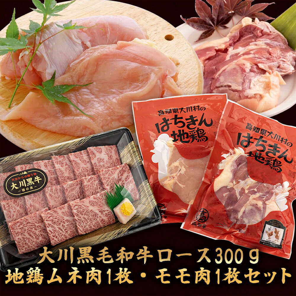 【ふるさと納税】 国産 黒毛和牛 「 大川黒毛和牛 」ロース 地鶏 胸肉 もも肉 の セット 肉 牛肉 国産 黒毛 和牛ロース 300g 鶏肉 もも むね お得 パック 詰め合わせ 土佐はちきん地鶏 希少 ブランド鶏 土佐はちきん地鶏 高知県 須崎市 ふるさと納税牛肉 me060