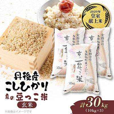 ふるさと納税 与謝野町 【先行受付】令和8年新米　数量限定　京都与謝野町産コシヒカリ「京の豆っこ米」玄米10kg×3袋