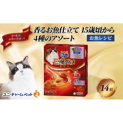 ふるさと納税 伊丹市 銀のスプーン三ツ星グルメ香るお魚仕立て15歳頃から4種のアソート お魚レシピ 猫[54030333]