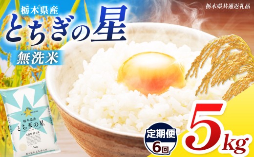 【栃木県共通返礼品】【先行予約】【令和8年度産】【定期6回】訳あり 栃木県産 とちぎの星  無洗米 5kg | 定期便 選べる ふるさと 納税 コシヒカリ とちぎの星 お米 精米 無洗米 ごはん ご飯 主食 日本米 kome 栃木県 共通返礼品 那珂川町 送料無料