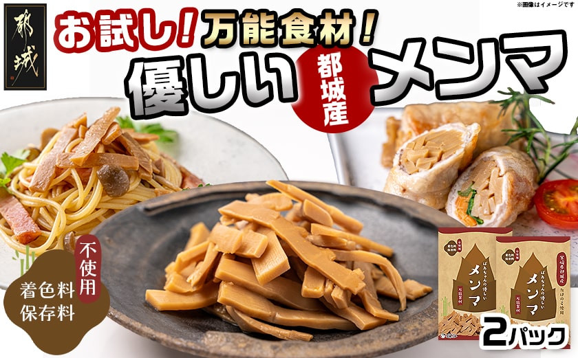 
            【お試し♪】万能食材☆優しい都城産メンマ_LB-9204-PF_ (都城市) 国産メンマ 80g×2パック 保存料・着色料不使用 都城産タケノコ おつまみ ラーメン パスタ 和え物など
          