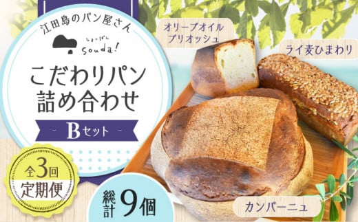 【全3回定期便】石窯パン 詰め合わせ Bセット (計9個)  定期便 パン ぱん ブレッド ベーカリー 冷凍 石窯 石窯パン 菓子パン 惣菜パン 国産 小麦 国産小麦 朝食 ルヴァン 天然酵母 ハードパン ハード系 こだわり 天然 素材 風味 豊か 焼きたて 手作り 香り 贈り物 ギフト セット 詰め合わせ リピート 人気 広島県産 江田島市/しまのぱん souda！ [XAQ010]