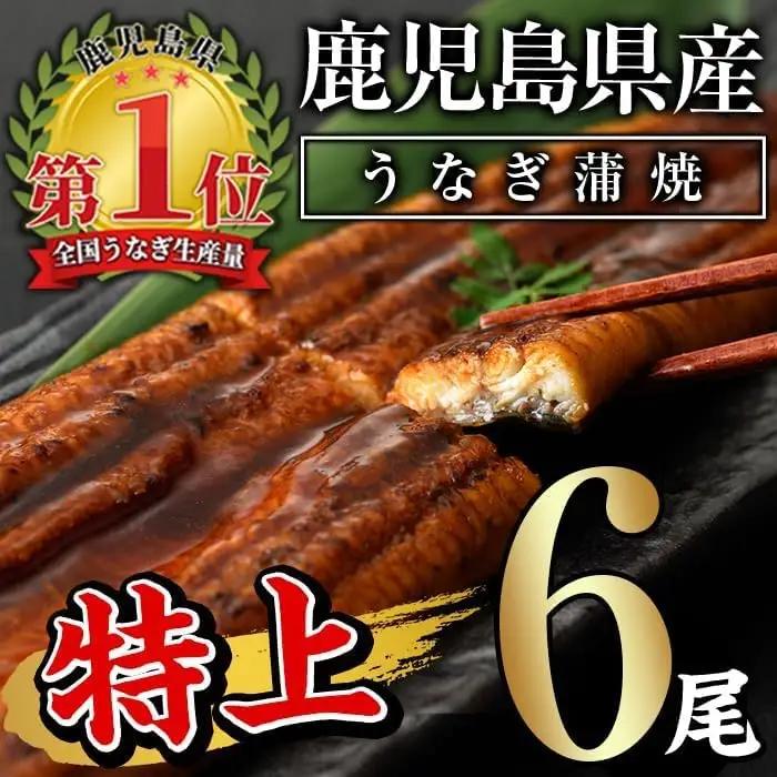 うなぎ蒲焼Ｃセット(約１６０ｇ×６尾，タレ・山椒付)
