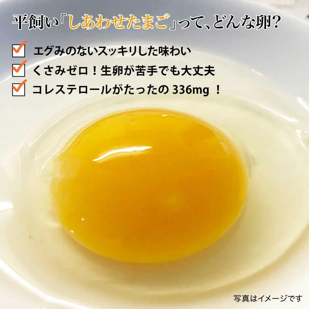 【3回定期便】 平飼い しあわせ たまご  20個 ＜松本養鶏場＞ [CCD027]