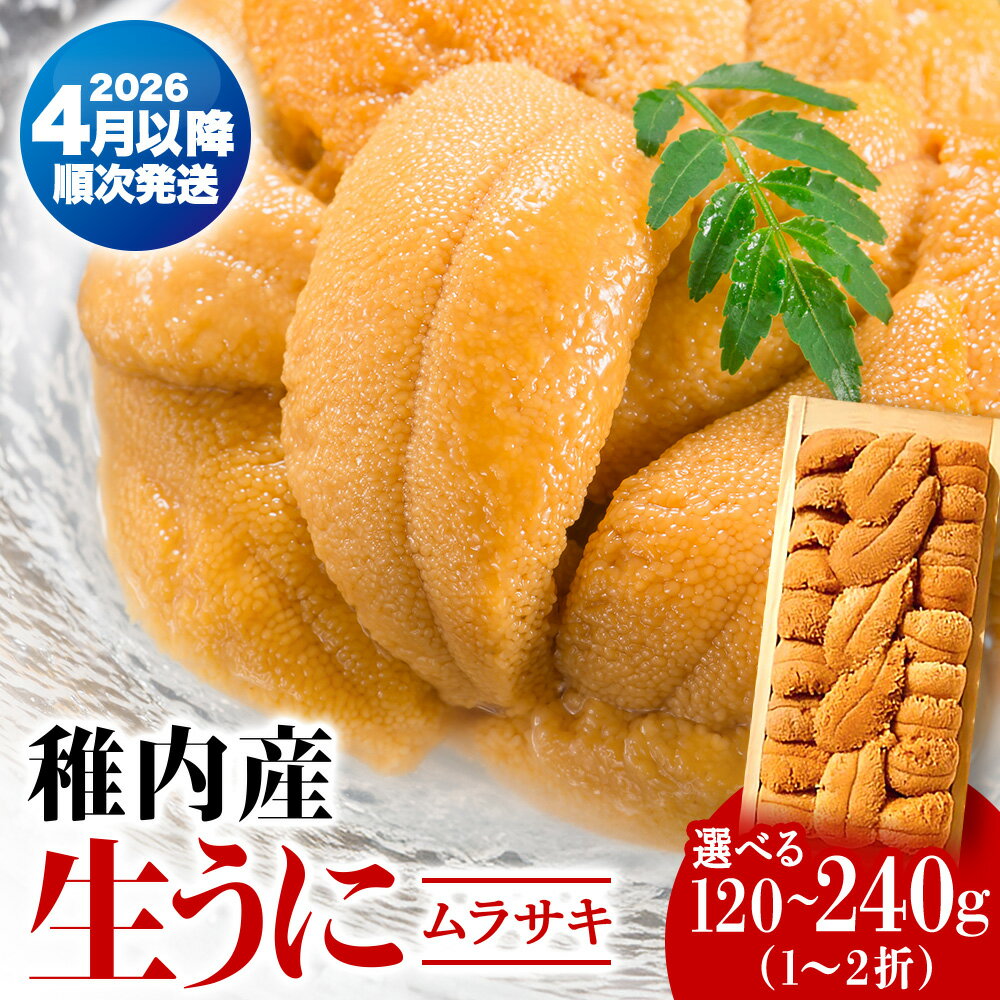 【ふるさと納税】【厳選品】生ムラサキウニ木箱入り120g～240gムラサキウニ 天然 うに むらさきうに 生うに 折詰 海鮮 海産物 北海道ふるさと納税 稚内 ふるさと納税 北海道 【配送不可地域：離島・沖縄県】