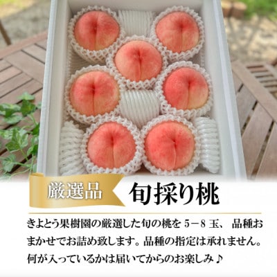 【きよとうファーム】【厳選品】旬の桃(品種おまかせ) 5-8玉入(岡山県産)【配送不可地域：離島】