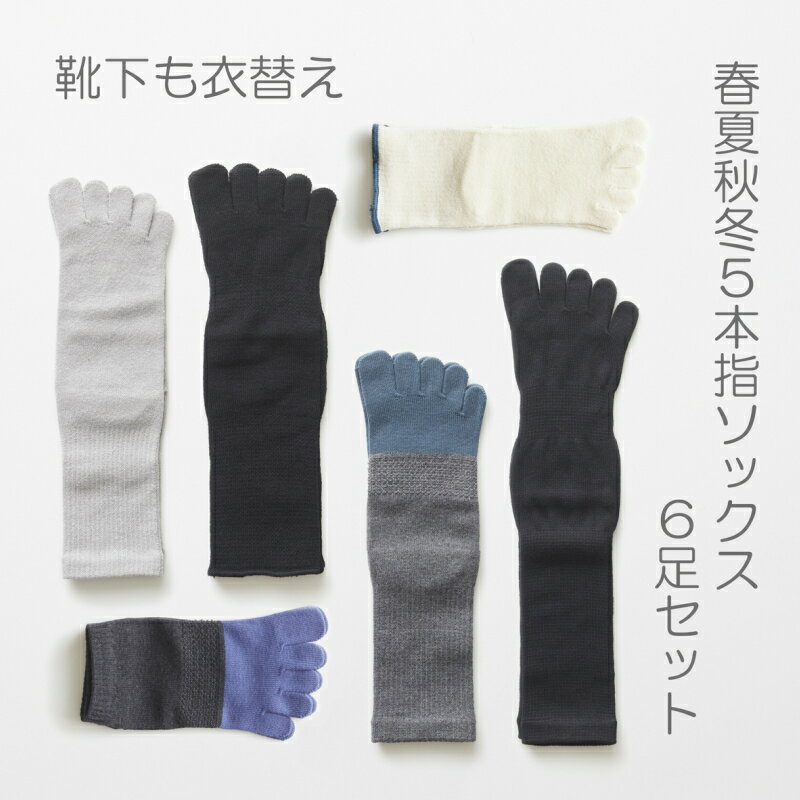 【ふるさと納税】5本指ソックス春夏秋冬セット(25-27cm)(A423-2)
