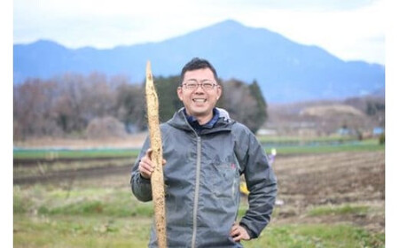 お店の味をご家庭で。【箱根自然薯の森 山薬】自然薯セット(2～3人前×2回分)　