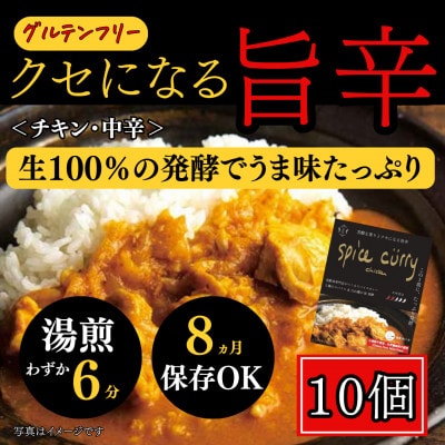 発酵スパイスカレー10個 ★白山麓のW発酵とスパイス5種  クセになる旨辛 グルテンフリー＆無添加【配送不可地域：離島】