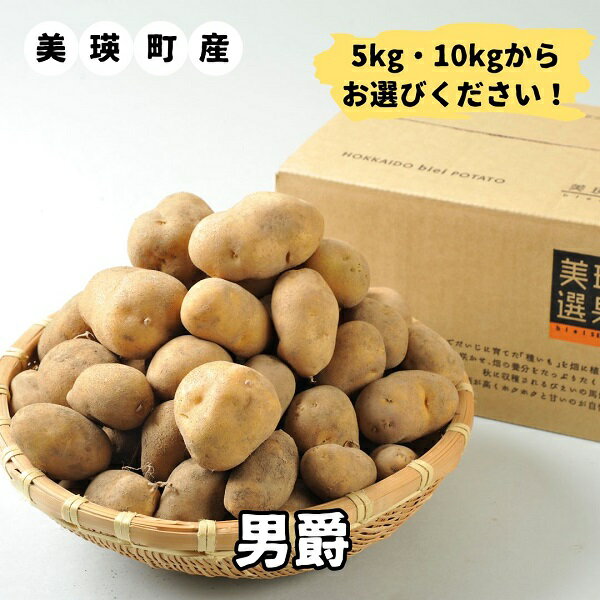 【ふるさと納税】≪令和7年産予約受付！≫男爵 じゃがいも 5kg 10kg 送料無料 | 美瑛町産 北海道 ジャガイモ じゃが芋 男爵イモ 男爵いも 男爵芋 北海道美瑛 北海道美瑛町 美瑛町 美瑛 美瑛産 北海道産 美瑛選果