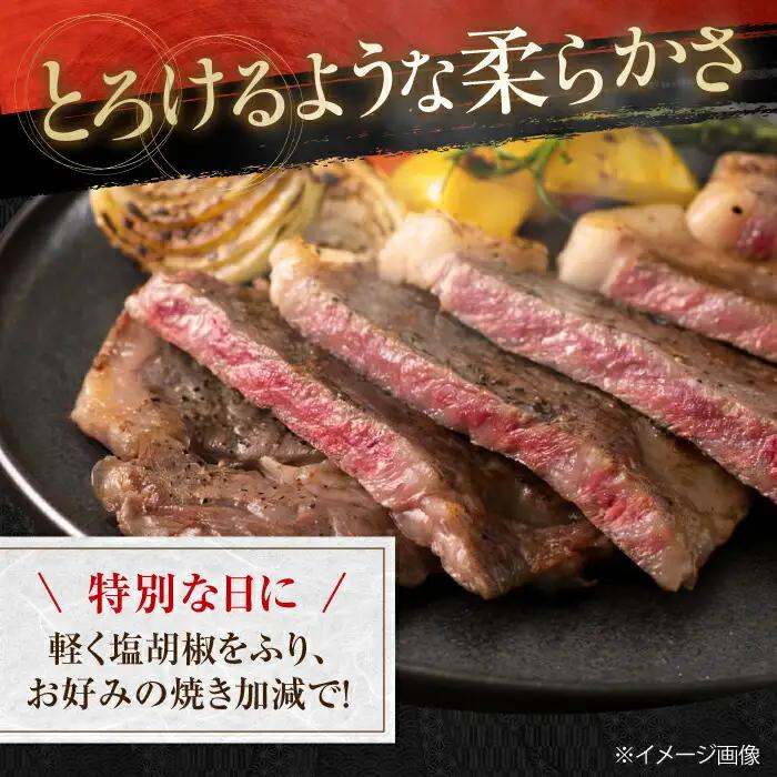 高知県産 よさこい和牛 サーロインステーキ用 約200g×2枚 牛肉 国産 サーロイン ステーキ 焼肉 【(有)山重食肉】 [ATAP012]