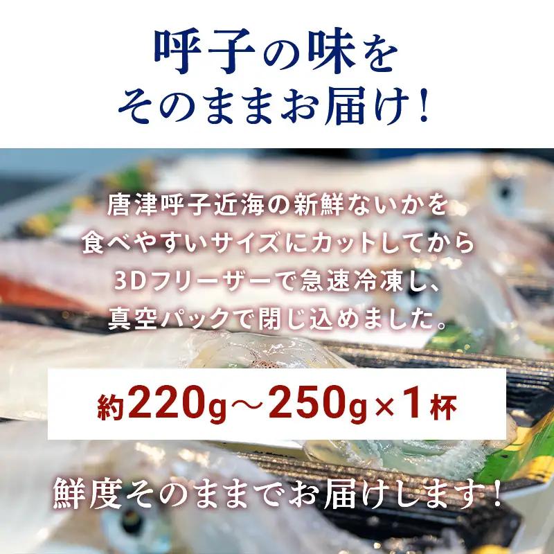 『先行予約』唐津呼子産いか活造り 1杯(約220g～250g) 急速冷凍 新鮮そのまま食卓へ！※水揚げあり次第7月以降順次発送させていただきます。
