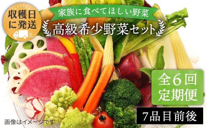 
                  【 全6回 定期便 】【 農薬・化学肥料 不使用 】こだわり 高級希少野菜 セット （ 7品 前後 ） 《糸島》【オーガニックナガミツファーム】 	[AGE017]
                