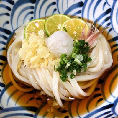 ふるさと納税 琴平町 【製麺所直送】一晩熟成半生さぬきうどん6kg!(500g×12袋)本場讃岐からお届けします。