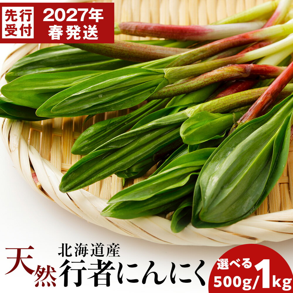 【ふるさと納税】【2027年発送予約】天然行者にんにく 選べる500g・1kg北海道ふるさと納税 稚内 ふるさと納税 北海道 山菜 行者ニンニク 春山菜 北海道産【配送不可地域：離島】