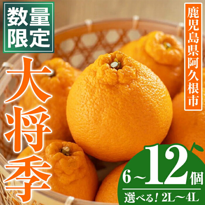 【ふるさと納税】＜先行予約受付中！2026年1月中旬以降順次発送予定＞＜サイズ・内容量が選べる！＞数量限定！大将季 (6～12個・2L～4L) 柑橘 フルーツ 果物 国産 みかん 期間限定 不知火 しらぬい シラヌイ ミカン【株式会社イロドリ】