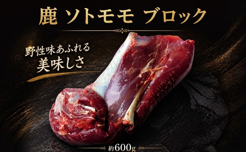 
                  鹿肉 モモ ブロック ソトモモ 600g 赤身肉 食べやすい 赤身 じびえ 地美栄 阿波地美栄 鹿 シカ肉 肉 ギフト ジビエ料理 希少 部位 厳選 ヘルシー 低カロリー 高たんぱく 鉄 鉄分 貧血 低脂質 焼肉 焼き肉 キャンプ キャンプ飯 ロースト ジビエ肉 シカ 人用 犬用 ペットフード 鍋 唐揚げ カレー シチュー 冷凍 赤身 健康 天然 みよし 徳島 三好 祖谷の地美栄
                